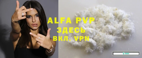 винт Абаза