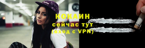 винт Абаза
