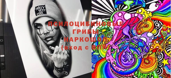 PSILOCYBIN Абдулино