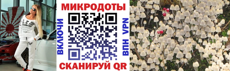 ссылка на мегу зеркало  Терек  Псилоцибиновые грибы MAGIC MUSHROOMS 